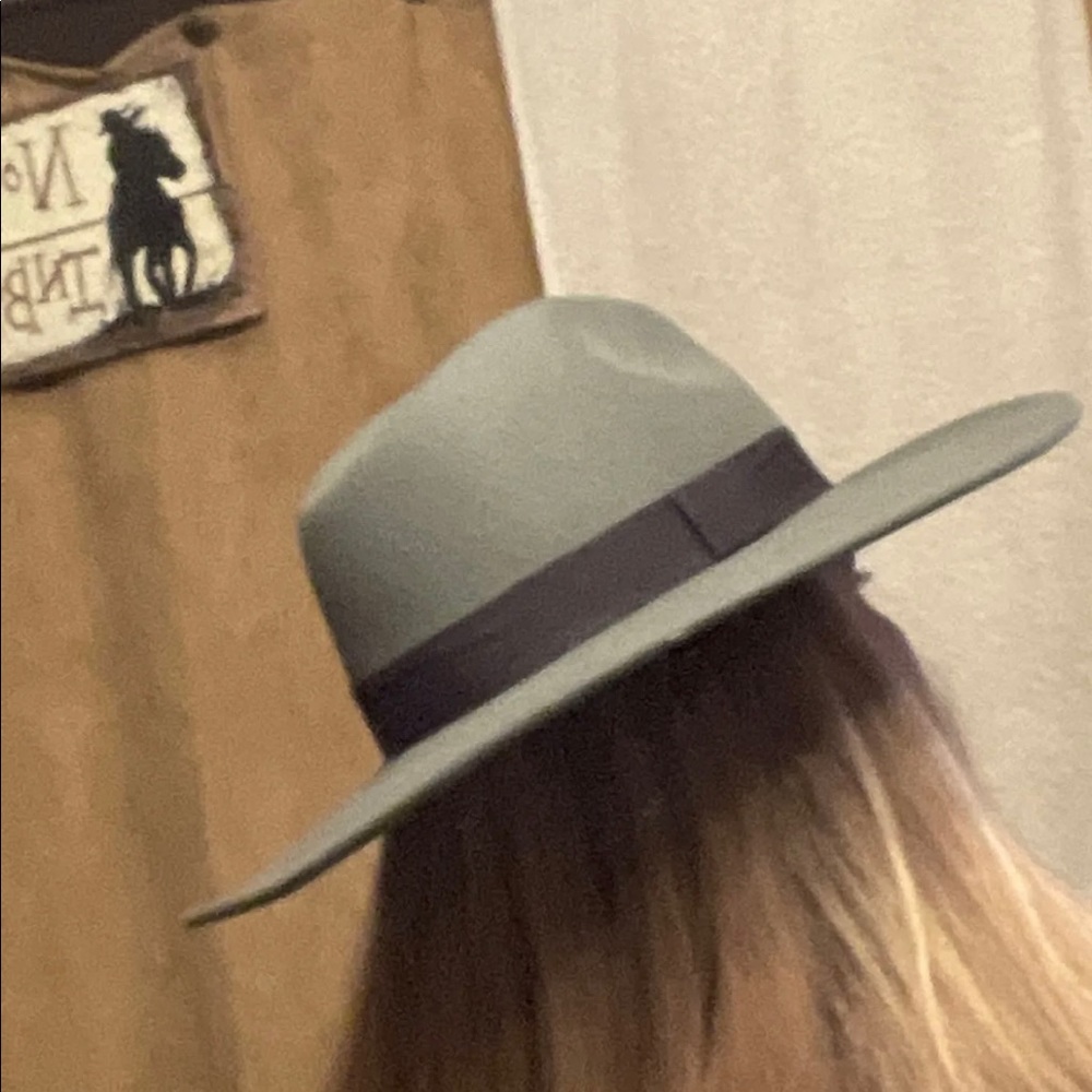 Gray Felt Hat - image 6